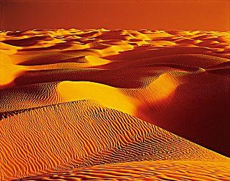 《宣誓》玩家无法与同伴谈恋爱 ：确保所有关系正确